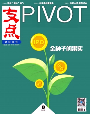支点(财经专刊)